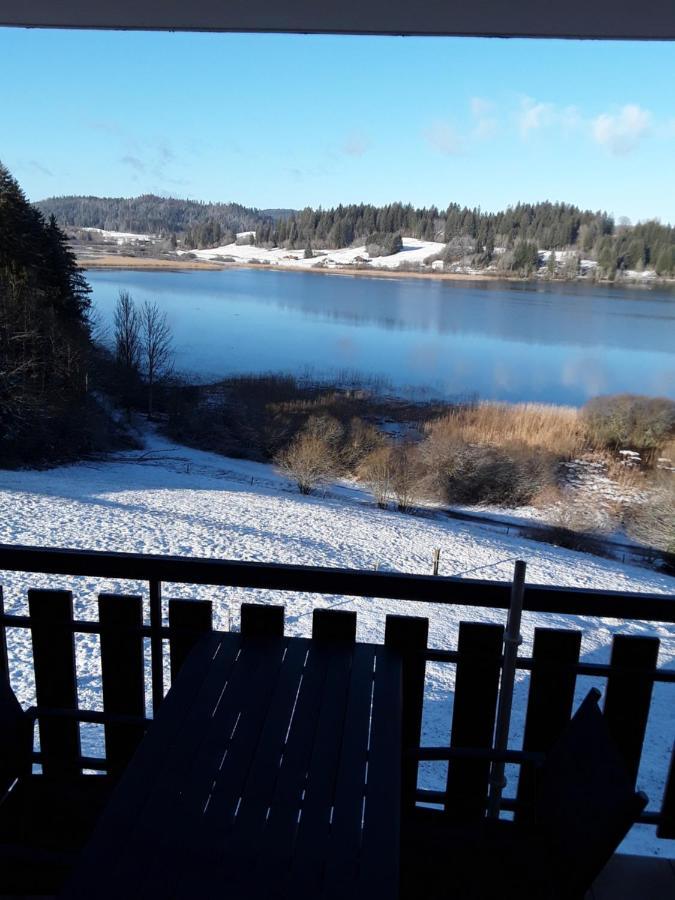 Les Balcons Du Lac Malbuisson Esterno foto
